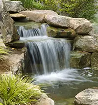 Drought Tolerant Landscaping Clovis